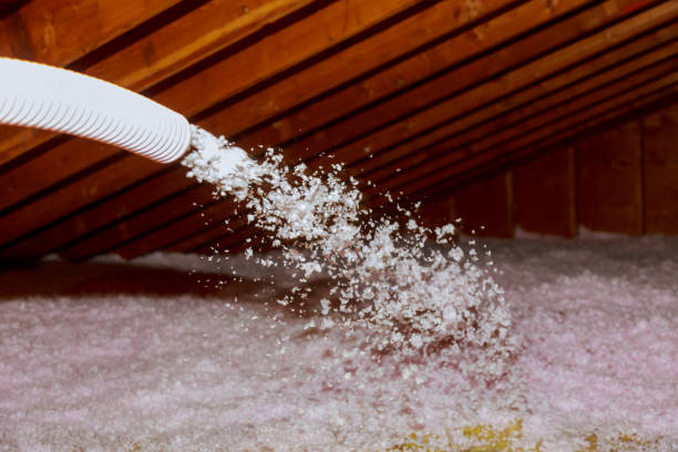 Best Specialized Insulation Services in Chubbuck, ID